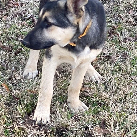 Unique - Picture 11 of 16